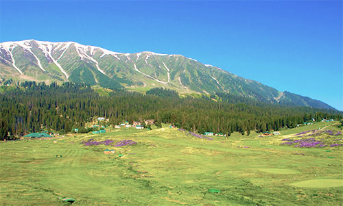 Srinagar-Gulmarg-Pahalgaum-Sonmarg