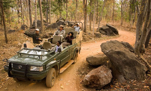 sillari jungle safari booking